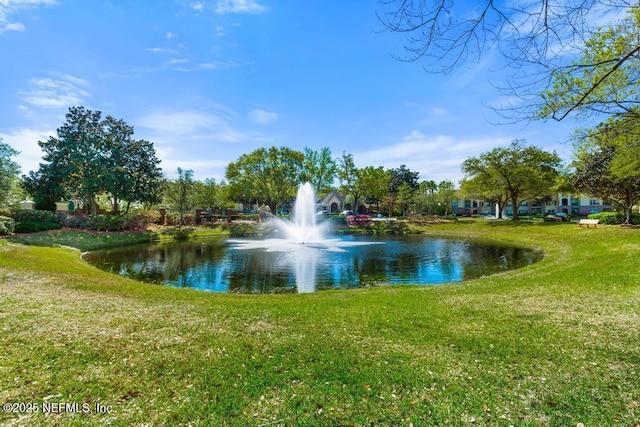 7800 Point Meadows Dr Unit 123, Jacksonville, FL 32256 - property view of water