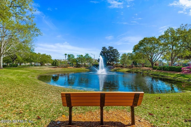7800 Point Meadows Dr Unit 123, Jacksonville, FL 32256 - surrounding community with a water view and a yard