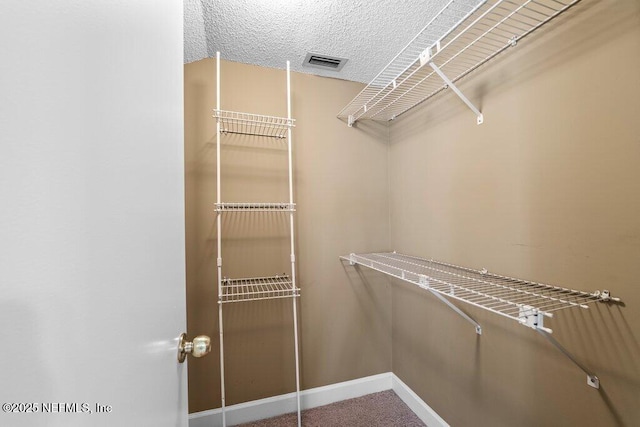 walk in closet with visible vents and carpet flooring