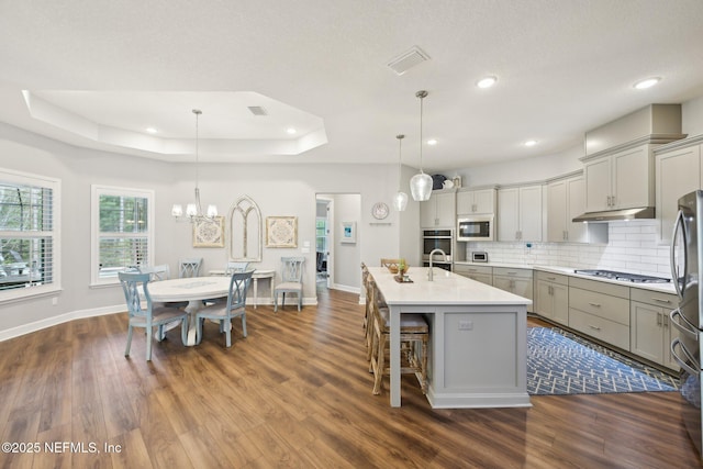 kitchen featuring tasteful backsplash, under cabinet range hood, stainless steel appliances, a raised ceiling, and gray cabinetry