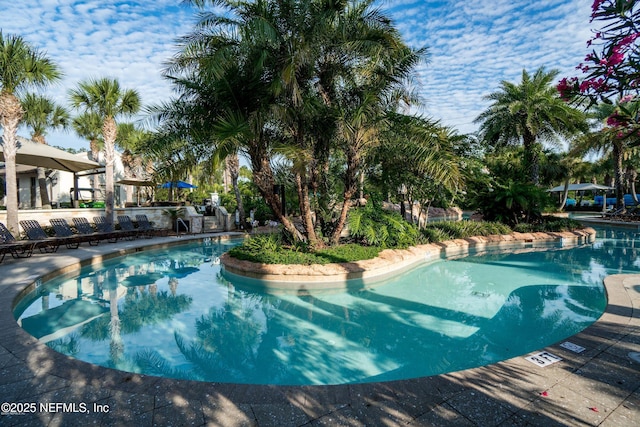 view of community pool
