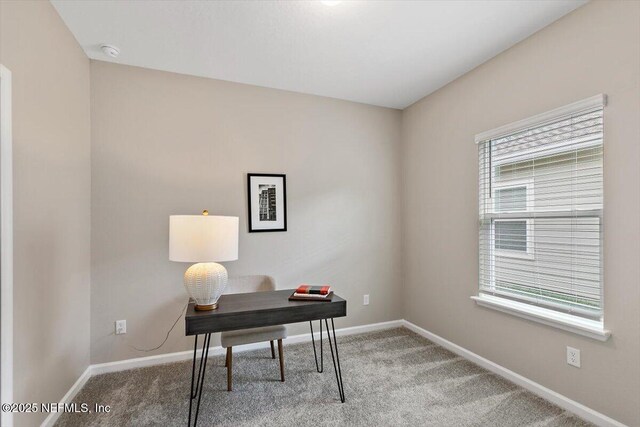 270 King George Ave, Saint Augustine, FL 32092 - office with carpet flooring and baseboards