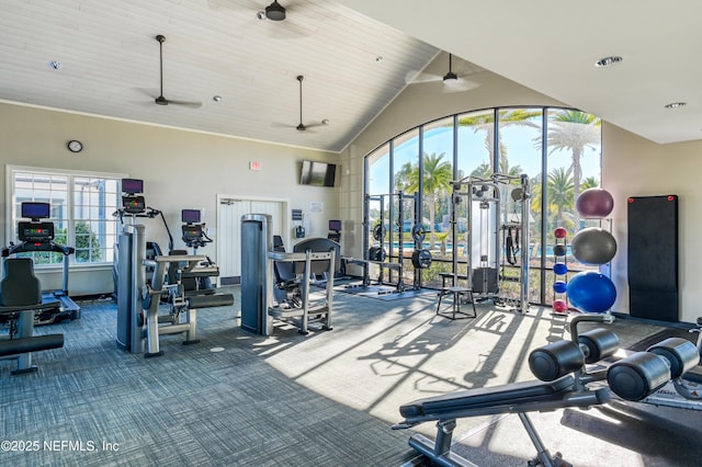 270 King George Ave, Saint Augustine, FL 32092 - gym with high vaulted ceiling, ceiling fan, carpet, and plenty of natural light