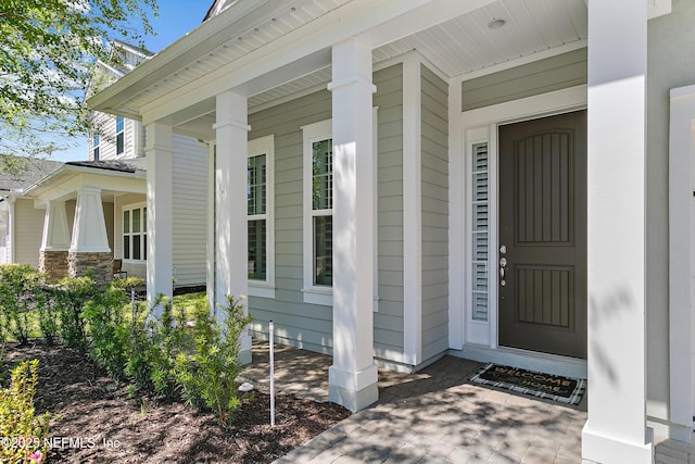 302 Freshwater Dr, Saint Johns, FL 32259 - photo 5