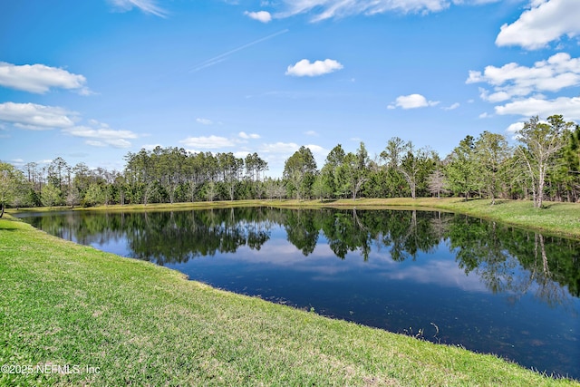 302 Freshwater Dr, Saint Johns, FL 32259 - photo 31