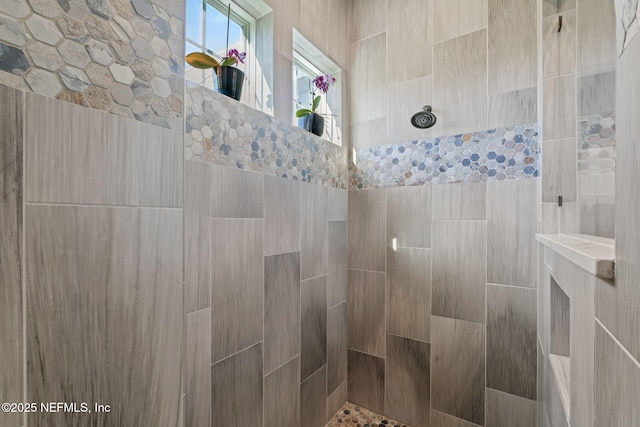 211 Bronson Pkwy, Saint Augustine, FL 32095 - bathroom featuring tiled shower