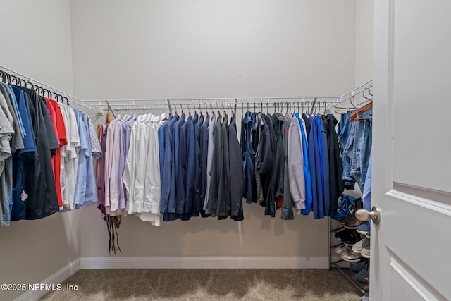 211 Bronson Pkwy, Saint Augustine, FL 32095 - walk in closet featuring carpet