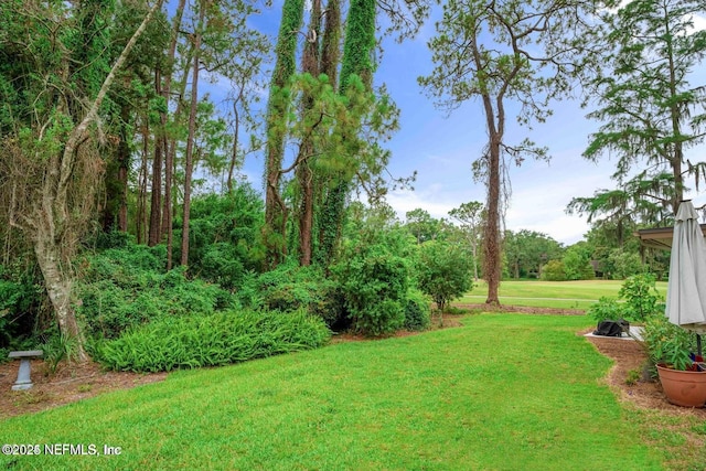10112 Leisure Ln S Unit 118, Jacksonville, FL 32256 - photo 4