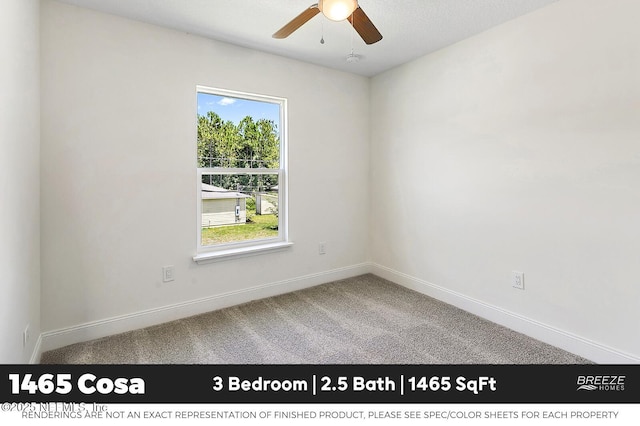994 Aiken St, Saint Augustine, FL 32084 - photo 9