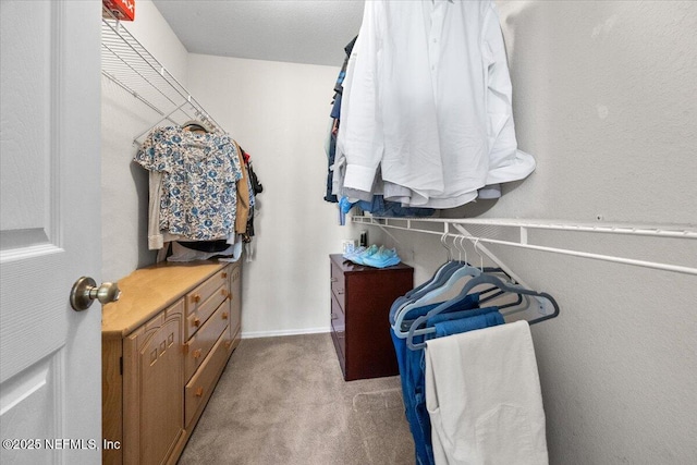 spacious closet featuring light colored carpet