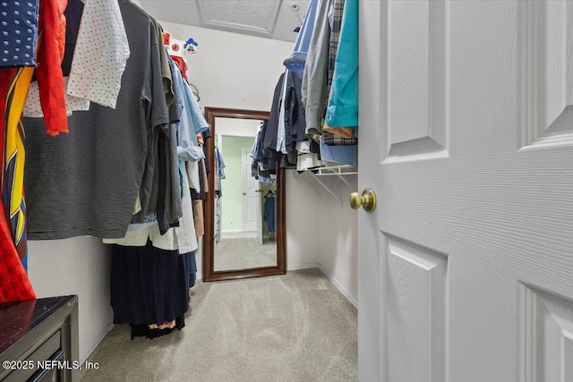 walk in closet featuring carpet floors