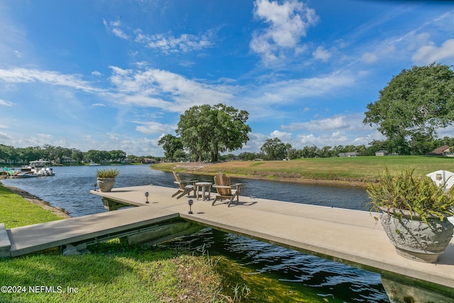 1244 Windsor Harbor Dr, Jacksonville, FL 32225 - photo 106
