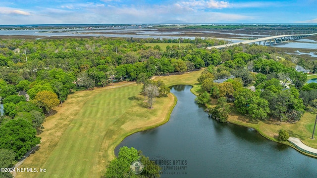 1244 Windsor Harbor Dr, Jacksonville, FL 32225 - photo 154
