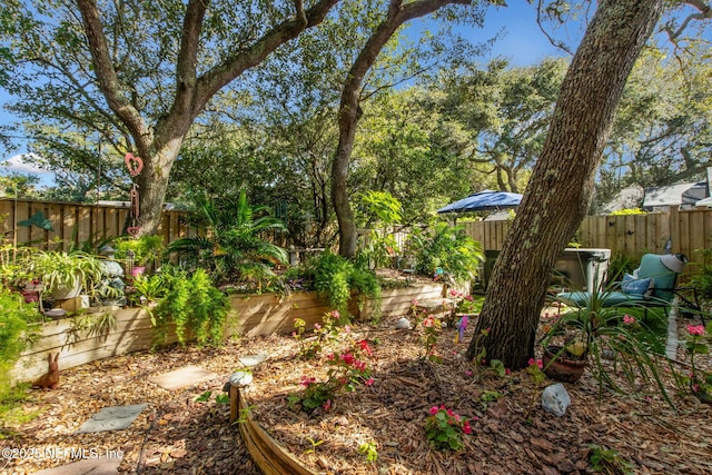 view of yard with a fenced backyard