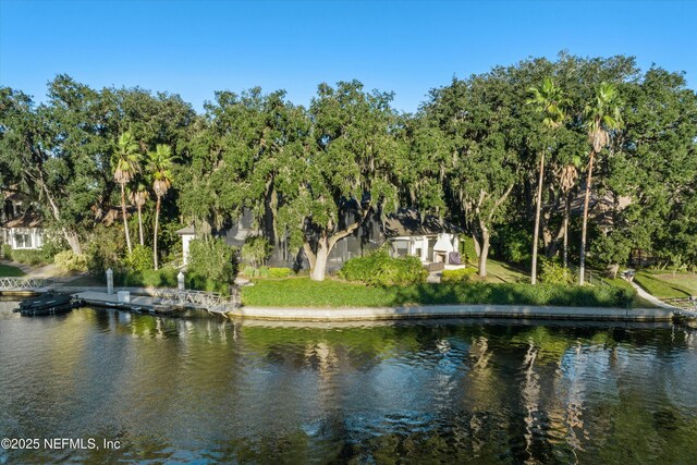 113 Cutter Ct, Ponte Vedra Beach, FL 32082 - property view of water