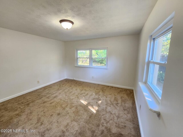 11547 Emuness Rd, Jacksonville, FL 32218 - photo 15