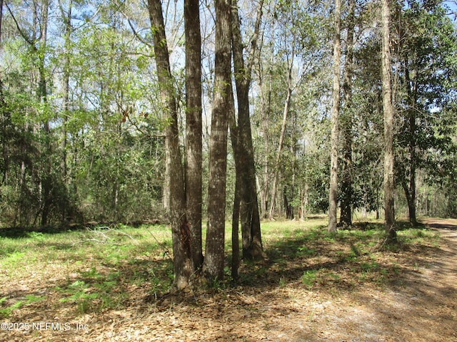 28727 Tracy Rd, Hilliard, FL 32046