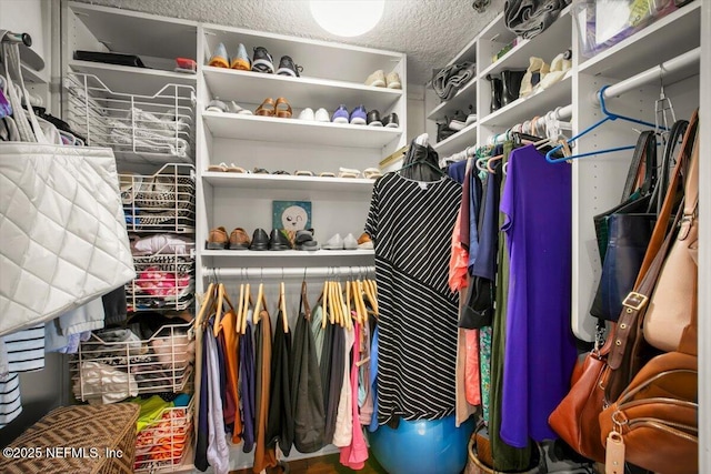 view of walk in closet