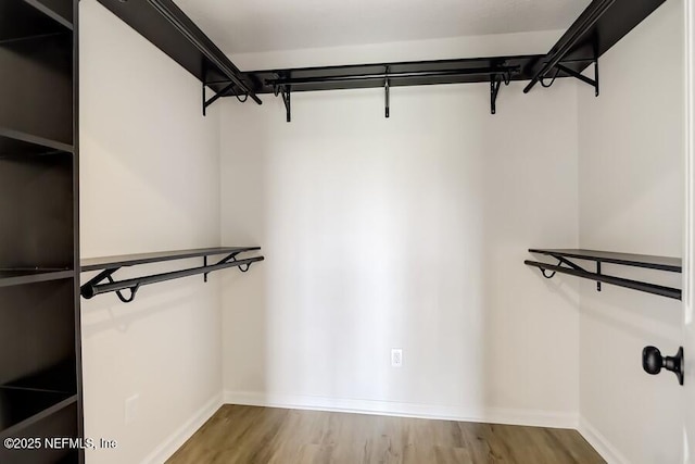walk in closet with wood finished floors