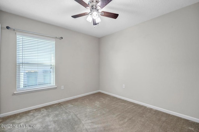 14645 Barred Owl Way, Jacksonville, FL 32259 - photo 30