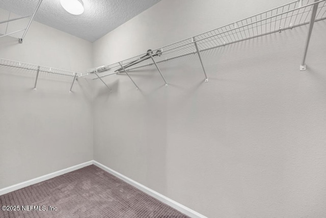 14645 Barred Owl Way, Jacksonville, FL 32259 - photo 15