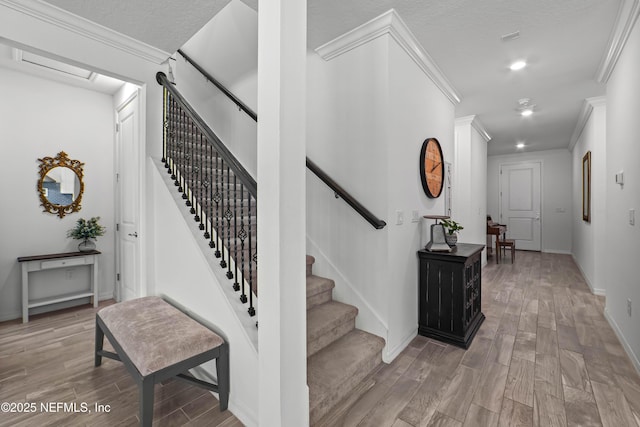 12303 Clapboard Bluff Trl, Jacksonville, FL 32226 - photo 16