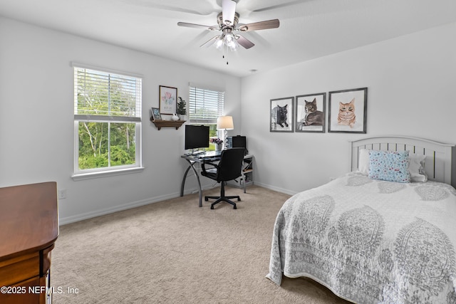 12303 Clapboard Bluff Trl, Jacksonville, FL 32226 - photo 20
