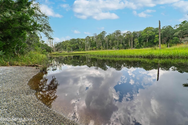 12303 Clapboard Bluff Trl, Jacksonville, FL 32226 - photo 28