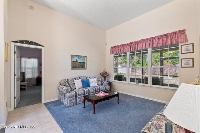 388 Lolly Ln, Saint Johns, FL 32259 - carpeted living room with a textured ceiling, baseboards, and tile patterned flooring