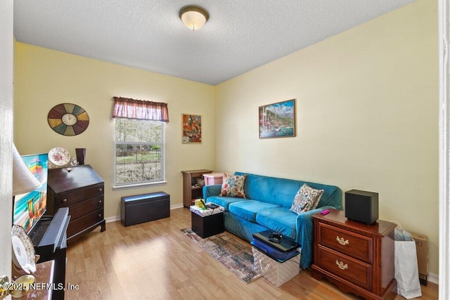 388 Lolly Ln, Saint Johns, FL 32259 - living room featuring baseboards, a textured ceiling, and wood finished floors