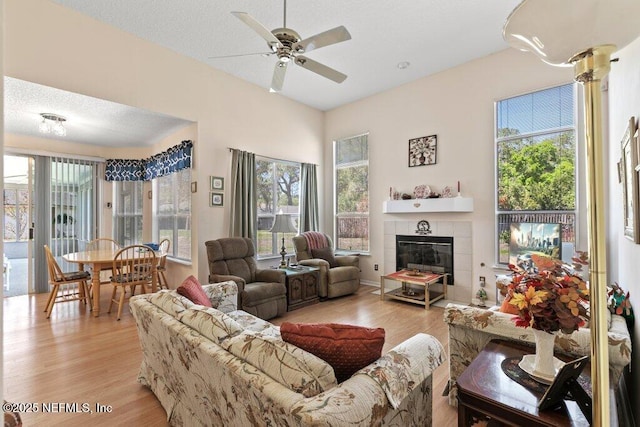 388 Lolly Ln, Saint Johns, FL 32259 - living room featuring ceiling fan, light wood-type flooring, and a wealth of natural light