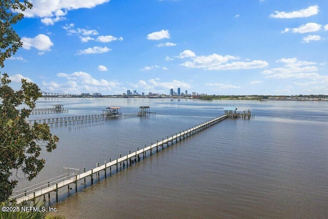 2280 Shepard St Unit 603, Jacksonville, FL 32211 - view of dock with a water view and a view of city
