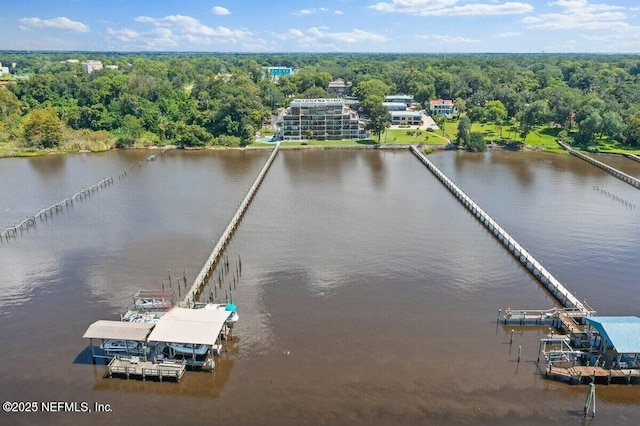 2280 Shepard St Unit 603, Jacksonville, FL 32211 - bird's eye view featuring a water view and a wooded view