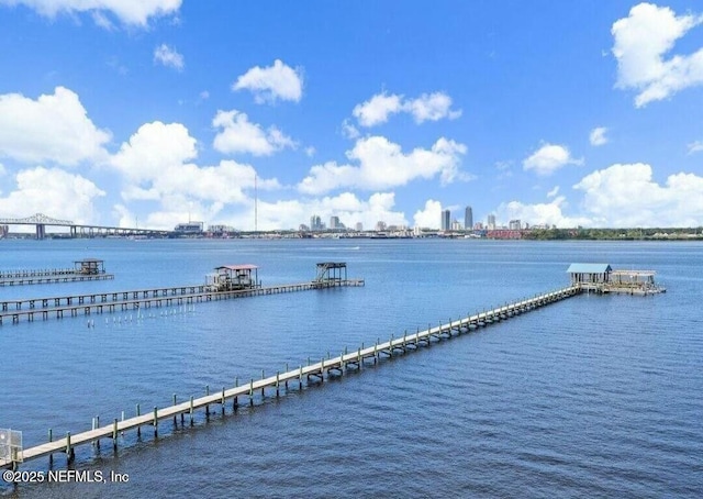 2280 Shepard St Unit 603, Jacksonville, FL 32211 - view of water feature featuring a view of city