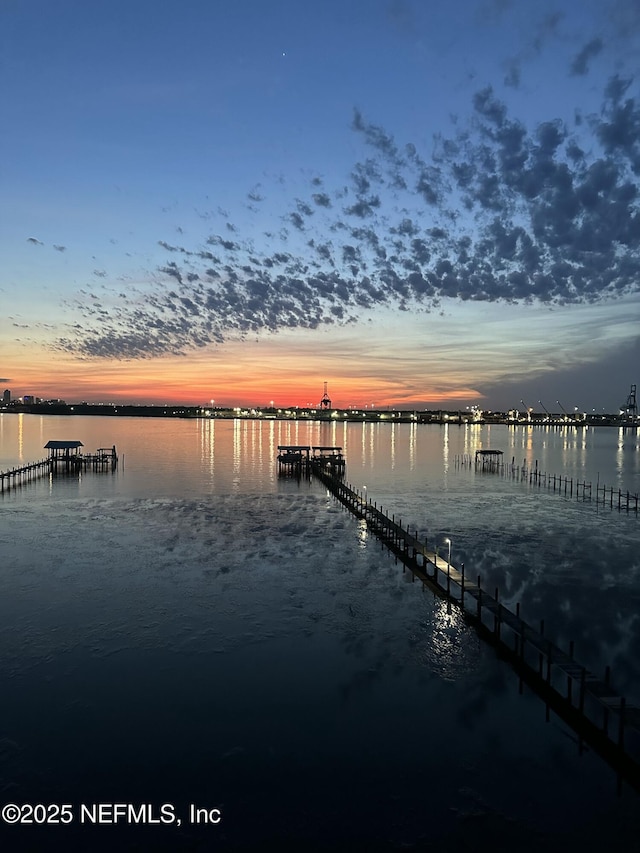 2280 Shepard St Unit 603, Jacksonville, FL 32211 - dock area with a water view