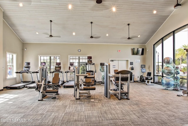281 Tintamarre Dr, Saint Augustine, FL 32092 - exercise room featuring high vaulted ceiling, wooden ceiling, and carpet