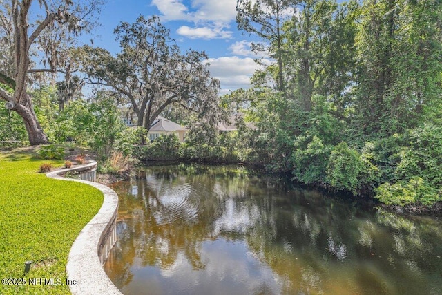 96188 Park Pl, Fernandina Beach, FL 32034 - photo 37