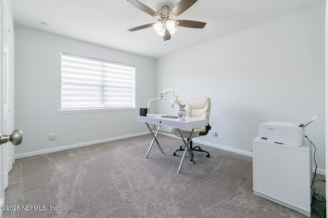 6221 Ashwood Ln, Jacksonville, FL 32277 - photo 15