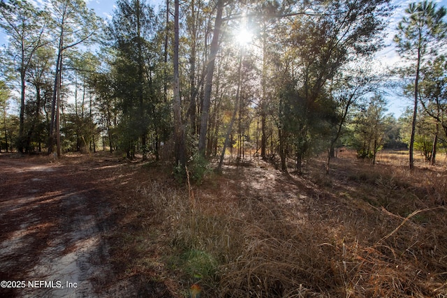 00000 Blazing Star Rd, Melrose, FL 32666 - photo 1