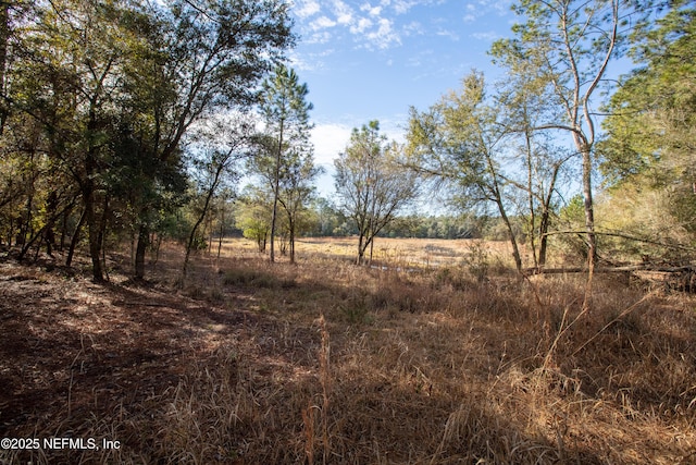 00000 Blazing Star Rd, Melrose, FL 32666 - photo 2