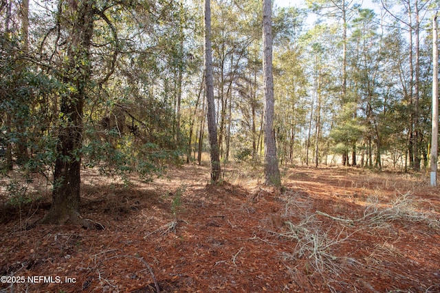 00000 Blazing Star Rd, Melrose, FL 32666 - photo 3