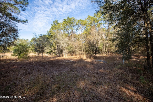 00000 Blazing Star Rd, Melrose, FL 32666 - photo 4