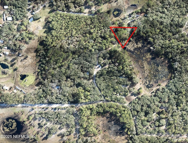 00000 Blazing Star Rd, Melrose, FL 32666 - photo 5