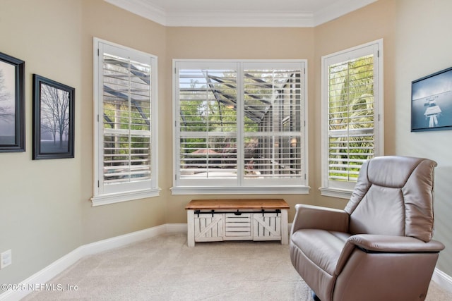 553 S Bridge Creek Dr, Saint Johns, FL 32259 - living area with baseboards, carpet flooring, and crown molding