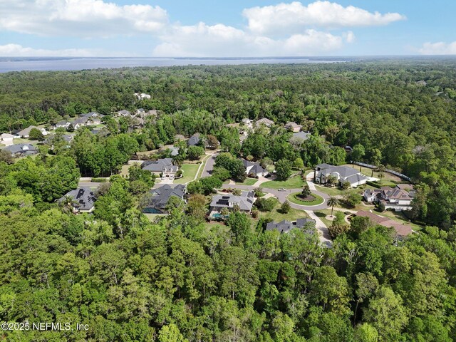 553 S Bridge Creek Dr, Saint Johns, FL 32259 - birds eye view of property featuring a wooded view