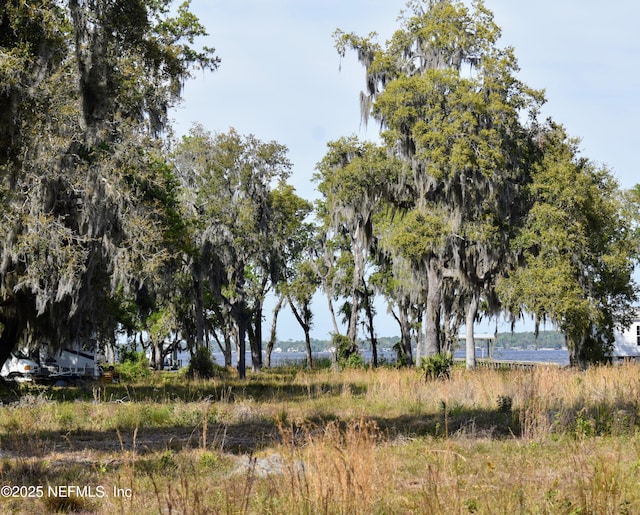 112 Bunch Rd, Palatka, FL 32177 - photo 7