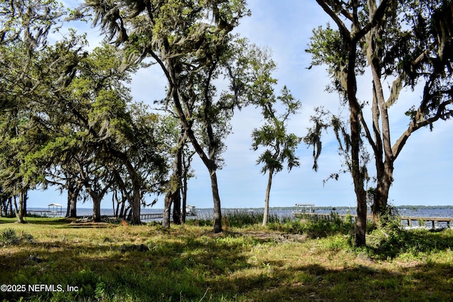 112 Bunch Rd, Palatka, FL 32177 - photo 3