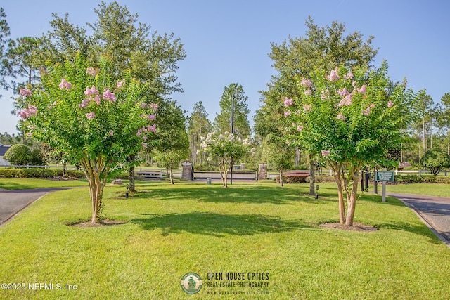 9921 Derby Gate Ct, Jacksonville, FL 32219 - view of home's community with a lawn