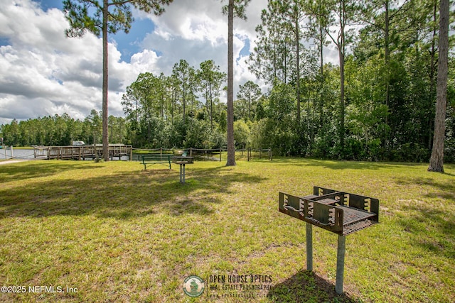 9921 Derby Gate Ct, Jacksonville, FL 32219 - view of yard