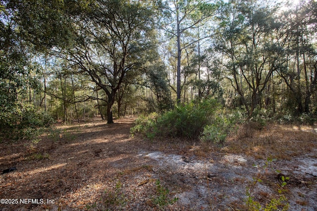 0000 Lake Everett Dr, Melrose, FL 32666